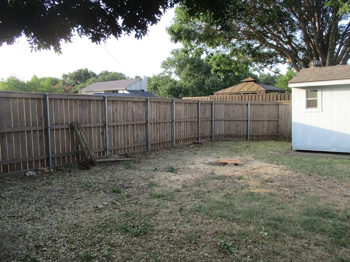 Cleared yard after professional tree removal in Stafford